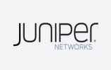 Juniper Juniper